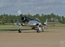 p51oceana08.jpg