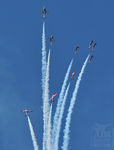 sffleetwk08-20.jpg