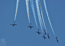 sffleetwk08-21.jpg
