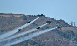 sffleetwk08-24.jpg