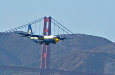 sffleetwk08-6.jpg