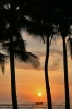 waikikisunset1.jpg