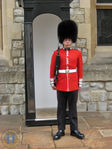 Filename=London0617-2.jpg
Filesize=146KB
Dimensions=600x800
Date added=Jun 17, 2011 London0617-2.jpg